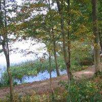 widok z parku na jezioro