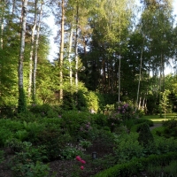 Ogród w Zalesiu Górnym